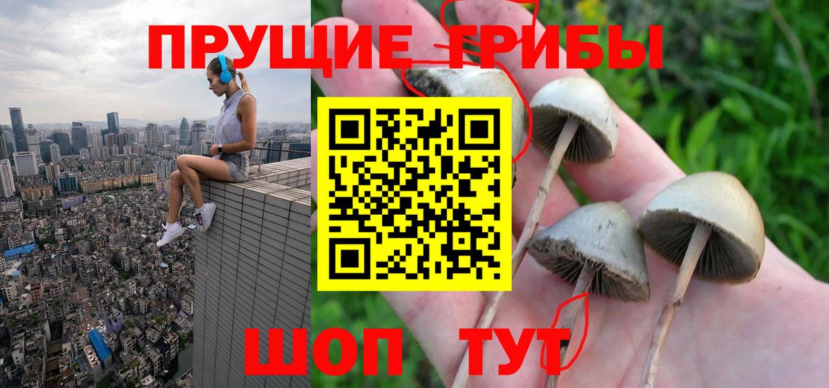 Шебекино  Псилоцибиновые грибы мухоморы  где можно купить наркотик  Галлюциногенные грибы Psilocybe  Вход с VPN 